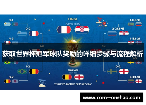 获取世界杯冠军球队奖励的详细步骤与流程解析