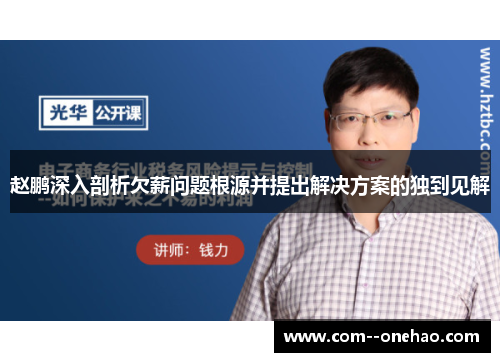 赵鹏深入剖析欠薪问题根源并提出解决方案的独到见解